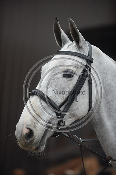 Eggesford_Hunting_20PN_122858