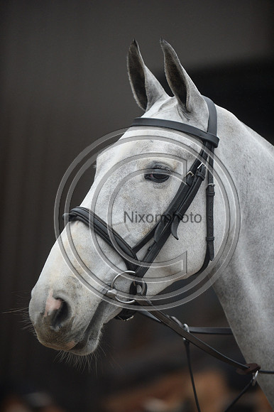 Eggesford_Hunting_20PN_122859