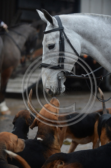 Eggesford_Hunting_20PN_122864