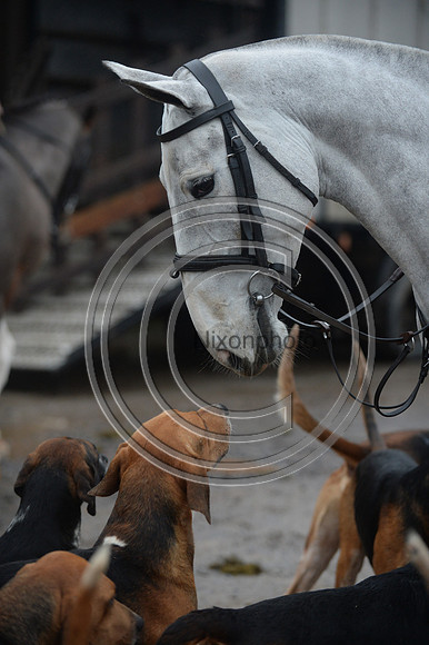 Eggesford_Hunting_20PN_122866
