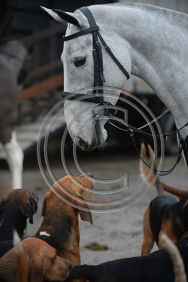 Eggesford_Hunting_20PN_122867