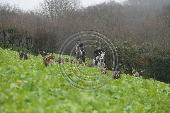 Eggesford_Hunting_20PN_122913