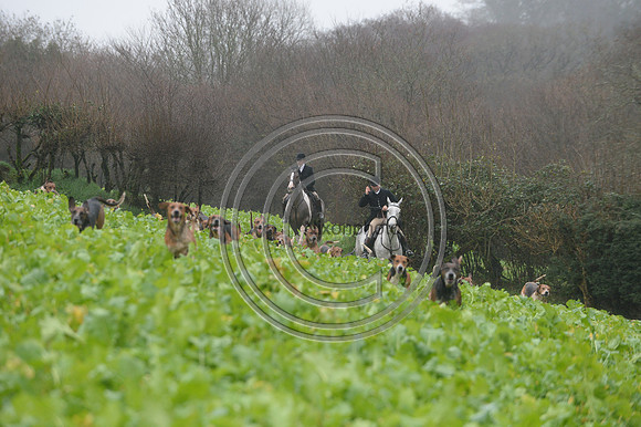 Eggesford_Hunting_20PN_122914