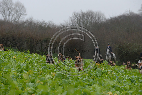 Eggesford_Hunting_20PN_122915