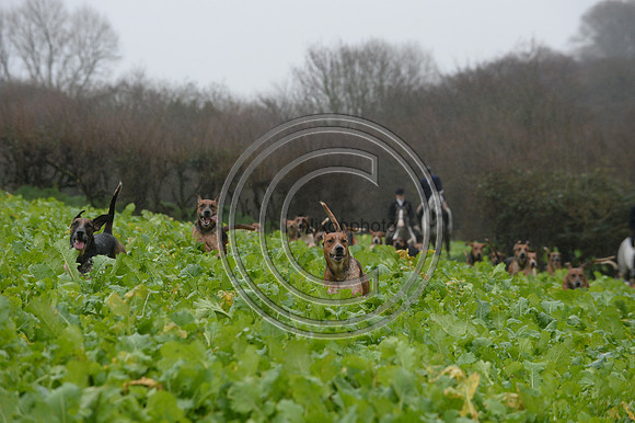 Eggesford_Hunting_20PN_122916