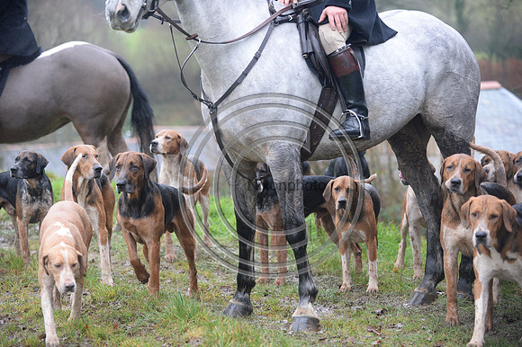 Eggesford_Hunting_20PN_122918