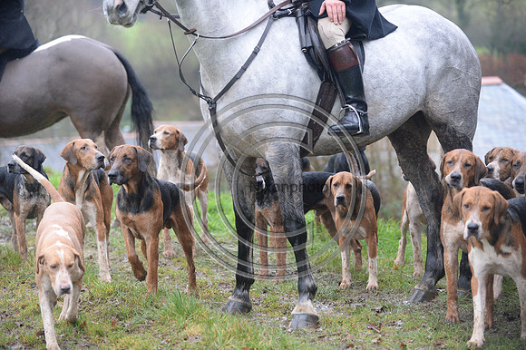 Eggesford_Hunting_20PN_122919