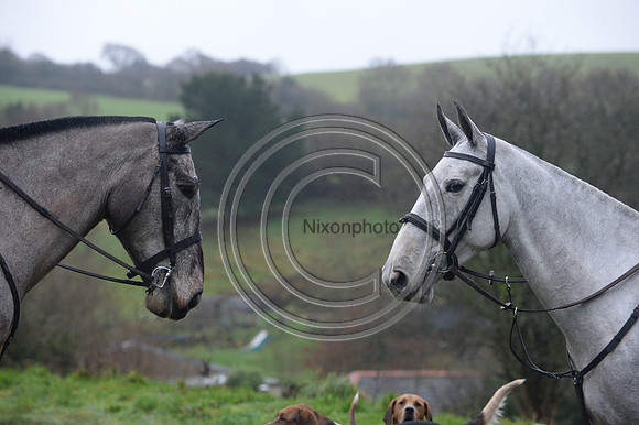 Eggesford_Hunting_20PN_122920