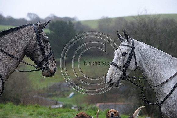 Eggesford_Hunting_20PN_122921