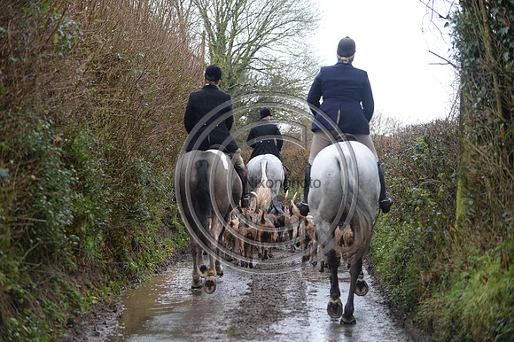 Eggesford_Hunting_20PN_122930