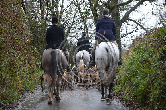 Eggesford_Hunting_20PN_122934