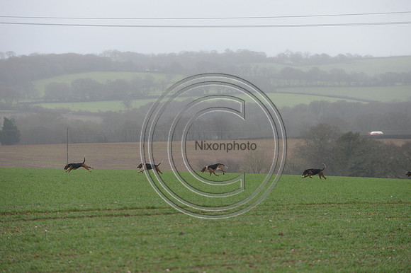 Eggesford_Hunting_20PN_122937