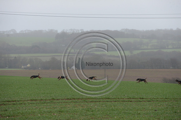 Eggesford_Hunting_20PN_122938
