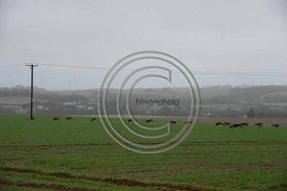 Eggesford_Hunting_20PN_122939