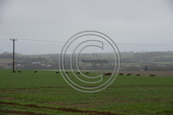 Eggesford_Hunting_20PN_122940