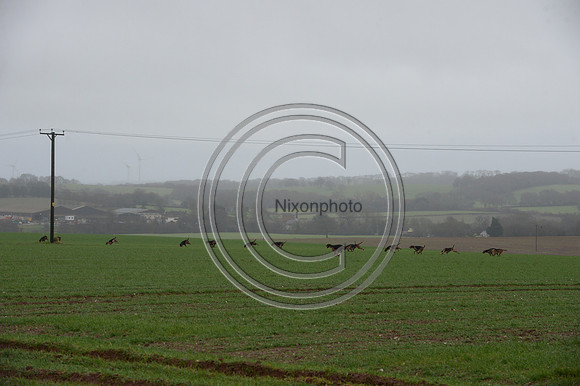 Eggesford_Hunting_20PN_122941