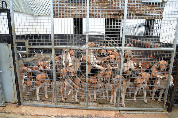 Eggesford_Hunting_20PN_122971