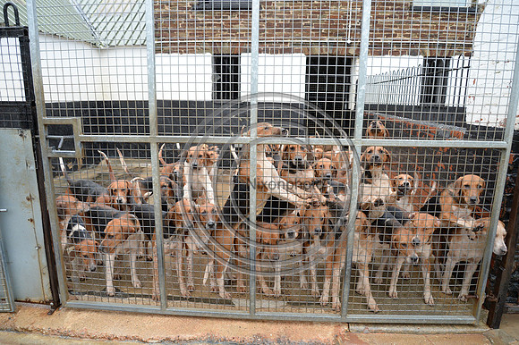 Eggesford_Hunting_20PN_122972