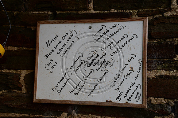 Eggesford_Hunting_20PN_122973