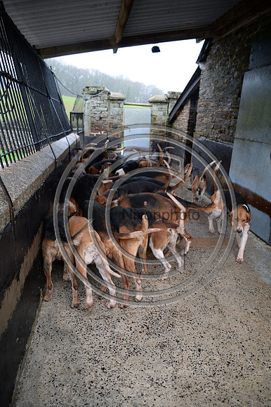 Eggesford_Hunting_20PN_122979