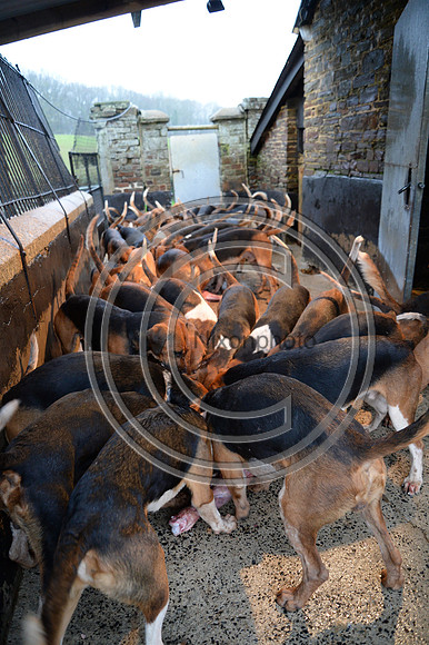 Eggesford_Hunting_20PN_122981