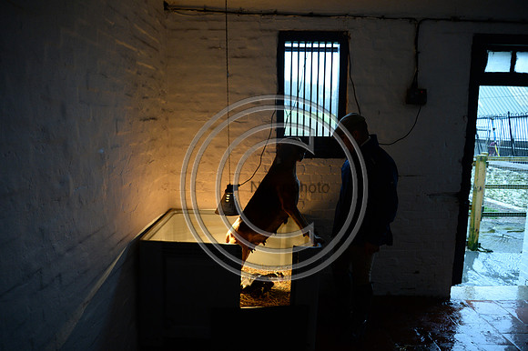 Eggesford_Hunting_20PN_122985