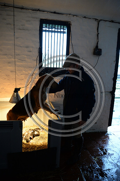 Eggesford_Hunting_20PN_122989