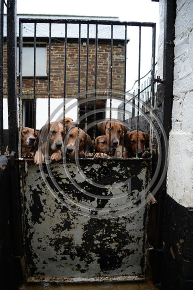 Eggesford_Hunting_20PN_122998