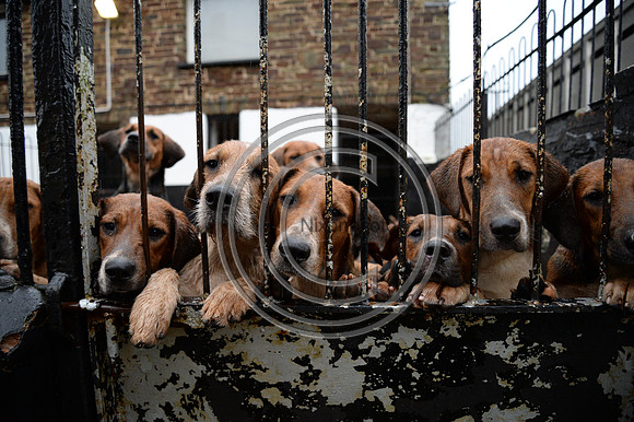 Eggesford_Hunting_20PN_122999