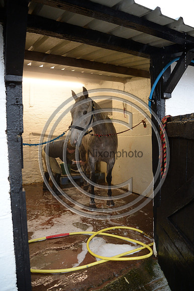 Eggesford_Hunting_20PN_123001