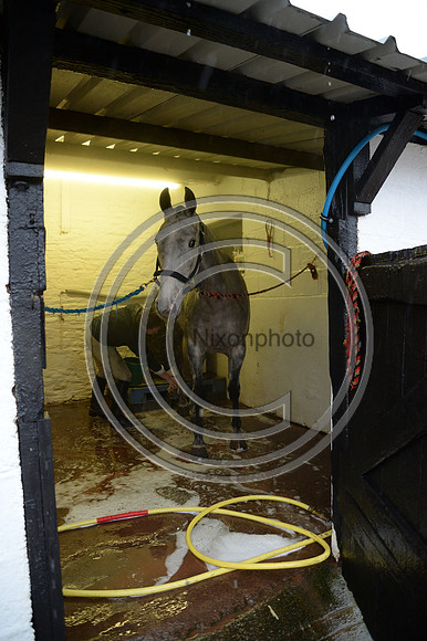 Eggesford_Hunting_20PN_123002