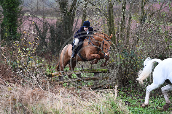 Ludlow_Hunting_13