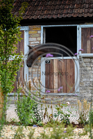 Collective Equestrian