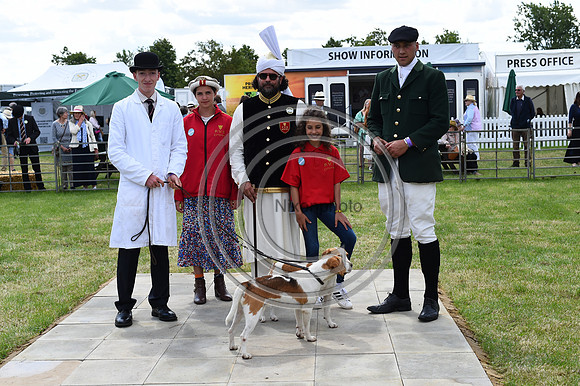 Festival of Hounds 2024