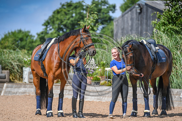 Collective Equestrian