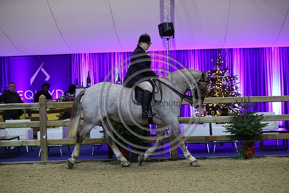 Rising Star_CobChamp_LIHS_PN24_10201