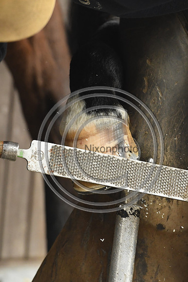 Nigel Perrott_Farrier_PN20_51846