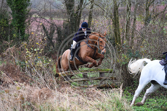 Ludlow_Hunting_187