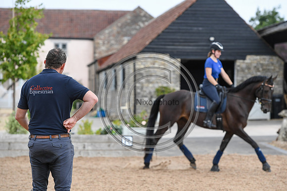 Collective Equestrian