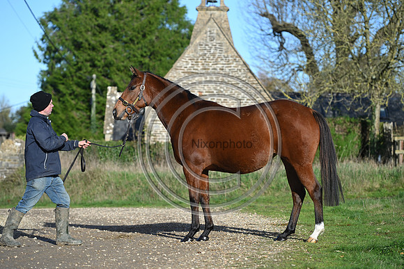 Mare_Selwood_PN69