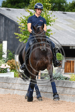 Collective Equestrian