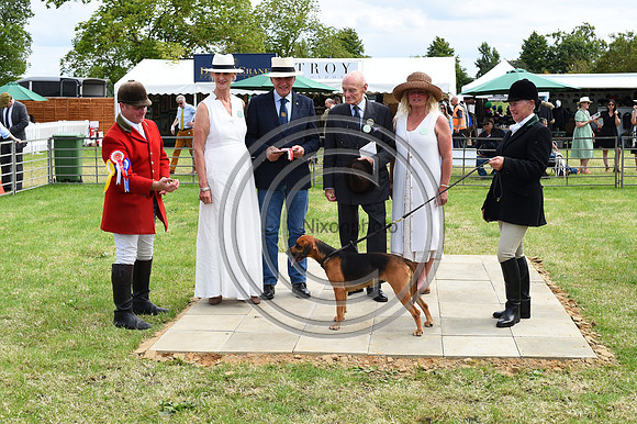 Festival of Hounds 2024