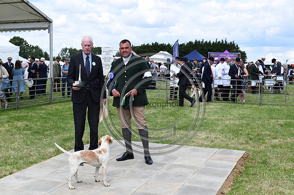 Festival of Hounds 2024