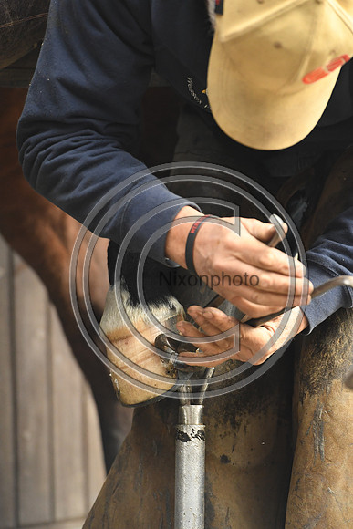 Nigel Perrott_Farrier_PN20_51842
