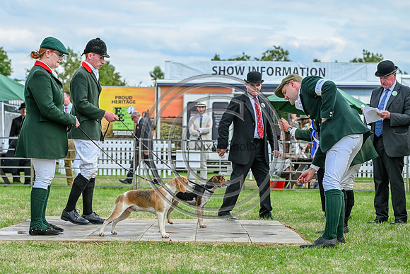 Festival of Hounds 2024