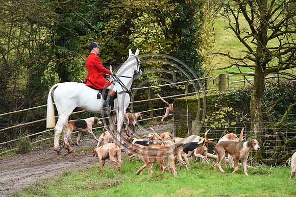 Ludlow_Hunting_54