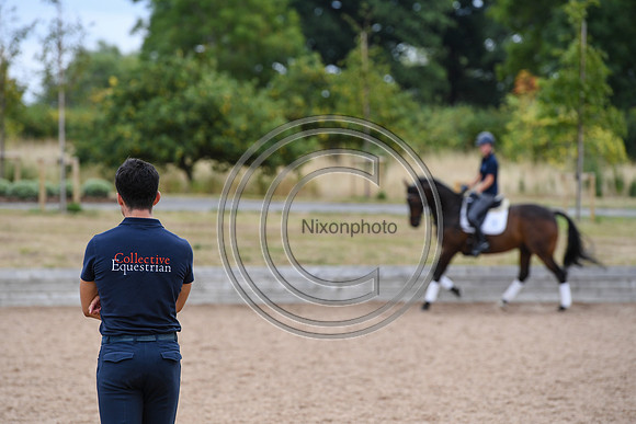 Collective Equestrian