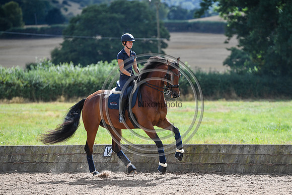 Collective Equestrian