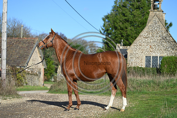 Mare_Selwood_PN30