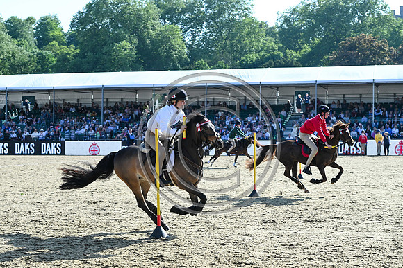 DAKS_PC_RWHS25_P189997